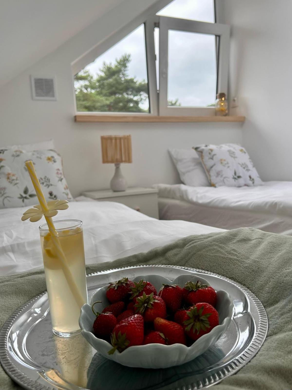 Apartament Morze Kwiatow *